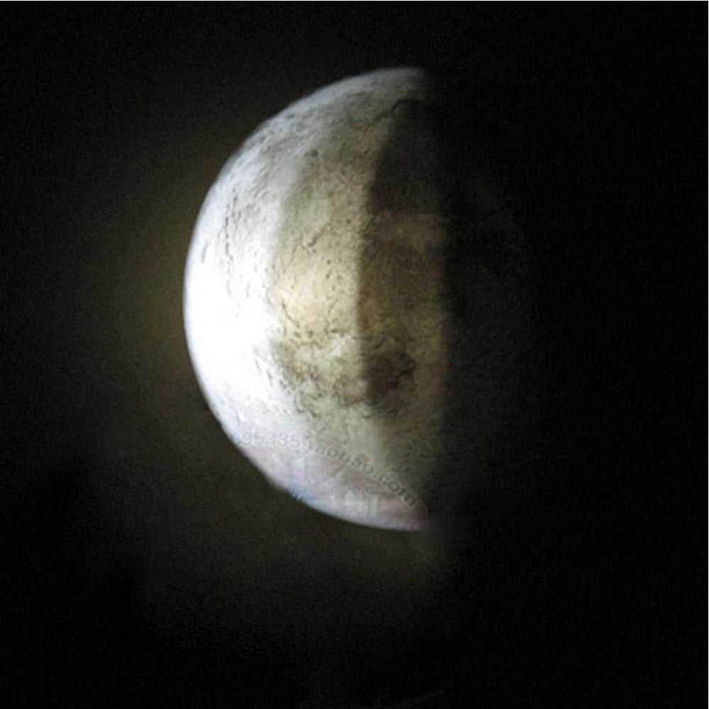 Take the Moon Home!