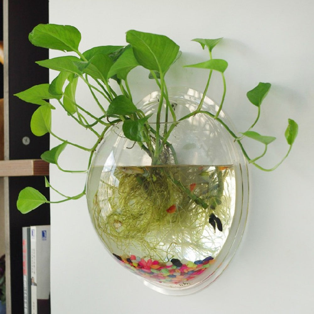 Hanging Aquarium