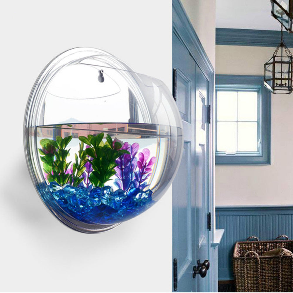 Hanging Aquarium