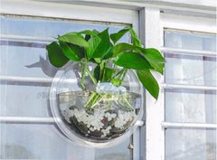 Hanging Aquarium