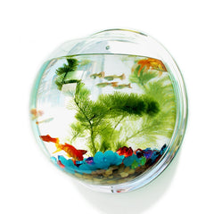 Hanging Aquarium