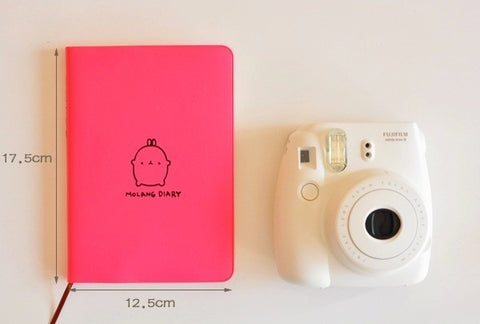 These are undoubtedly the world's cutest daily planners ever, MUST SEE!!